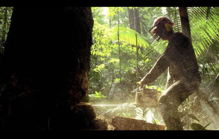 Global coalition required now or the ruination of biodiversity will kill off humanity