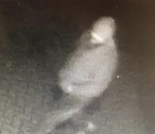 Suspect identified for over forty indecent exposure incidents in Dorchester and Purbeck