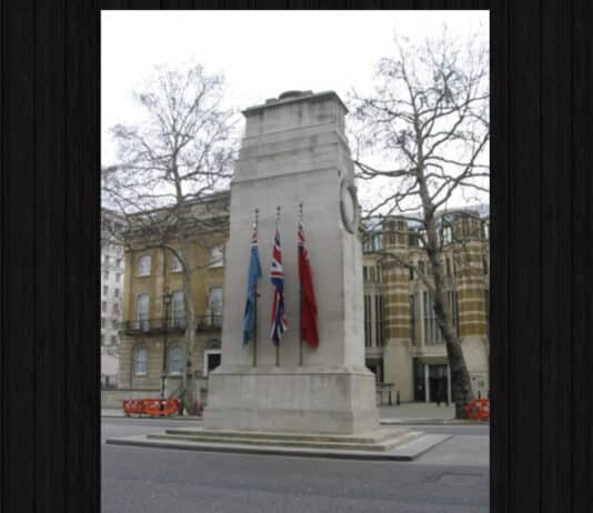 Cenotaph Wreath-Laying by Ex-Serviceman Climate Activist Should Raise the Alarm