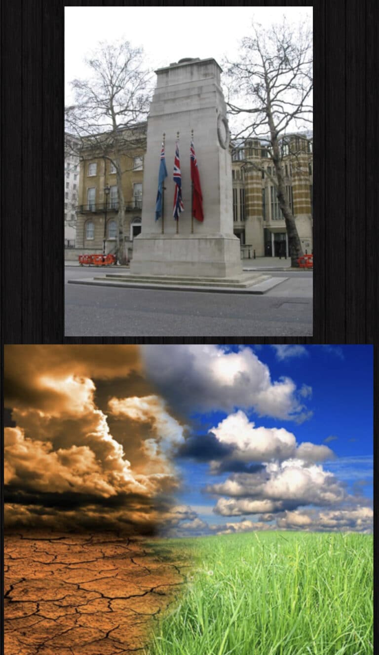 Cenotaph Wreath-Laying by Ex-Serviceman Climate Activist Should Raise the Alarm