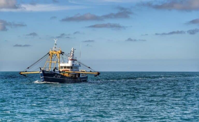 Shellfish workers say that Brexit deal is likely to force them out of their homes