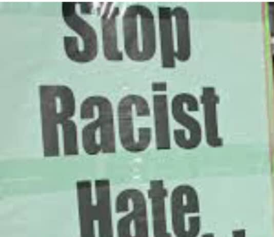 Dear Dorset Echo did you mean to make your article racist friendly?