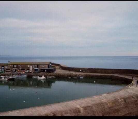 Appeal for information after body of woman found in water off Lyme Regis