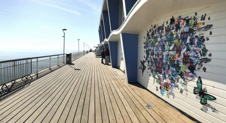 Explore from your door this half-term – how to have fun safely , online and at home