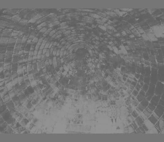 9 Ways The Economy Harms Us All