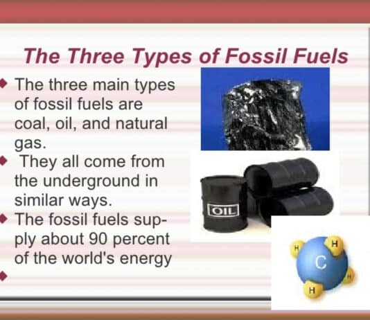 Rishi Sunak must move away from fossil fuels in budget following Sir David Attenborough’s warning