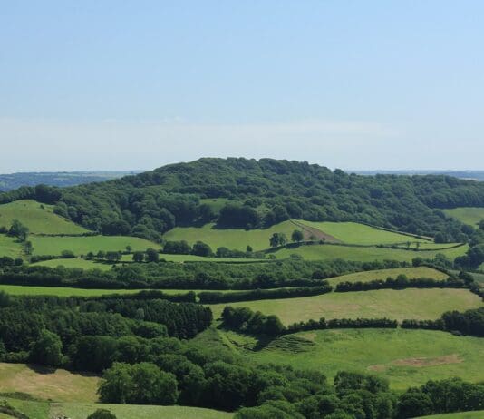Housing development for Dorset’s highest peak. Who genuinely wants this?