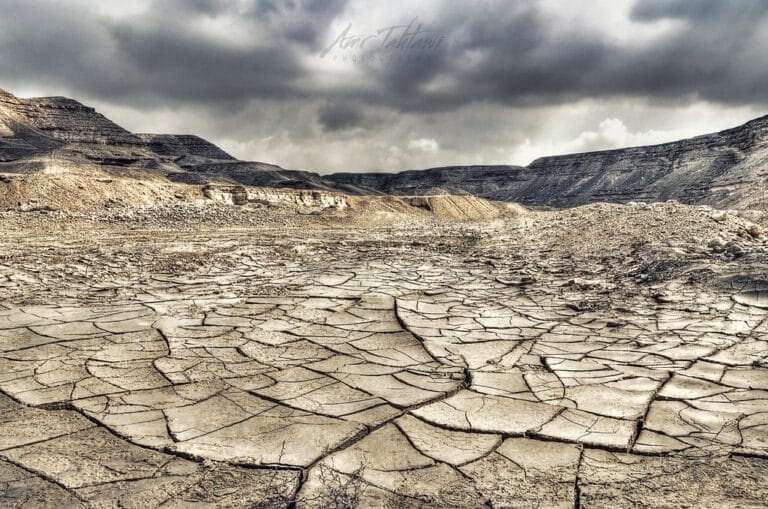 If you hate Socialism you will love this