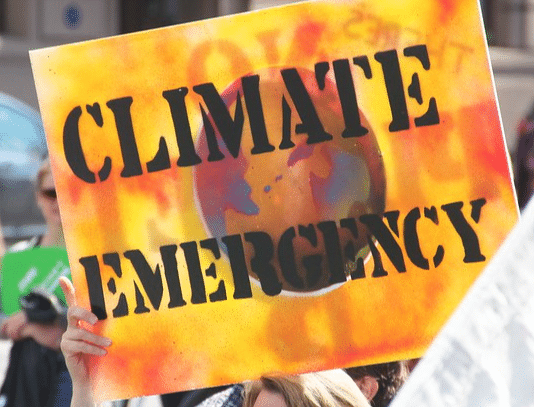 BCP organisations ask council to act “in a manner befitting an emergency” with respect to their Climate Emergency Plans