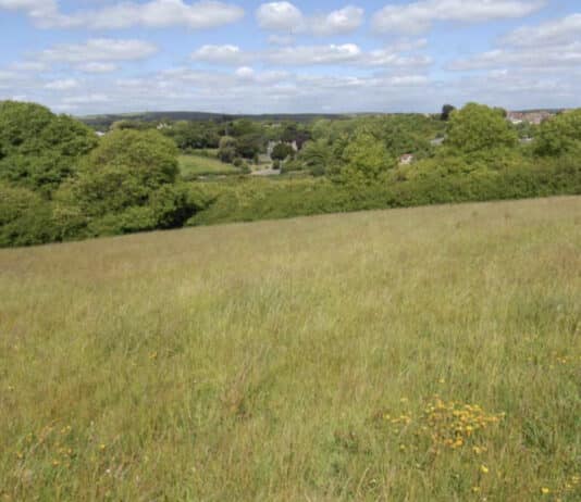 Exciting plan agreed to transform Tumbledown Tumbledown