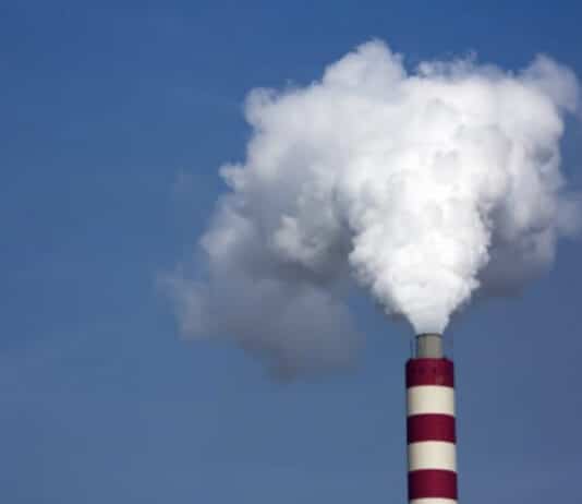 Human penises are shrinking because of pollution, warns scientist