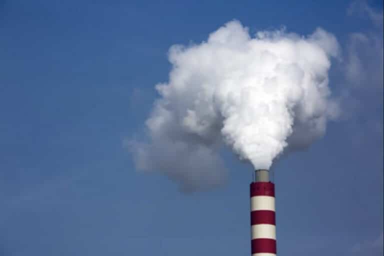 Human penises are shrinking because of pollution, warns scientist