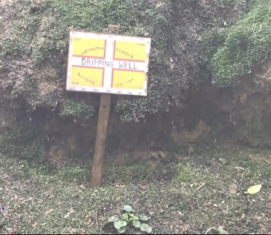 Have you noticed the amazing Weymouth Dripping Well?