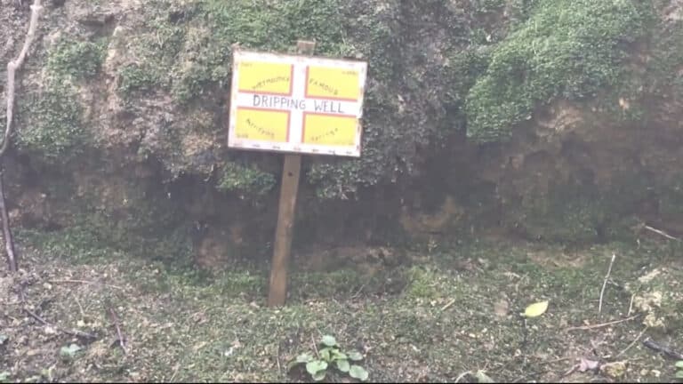 Have you noticed the amazing Weymouth Dripping Well?