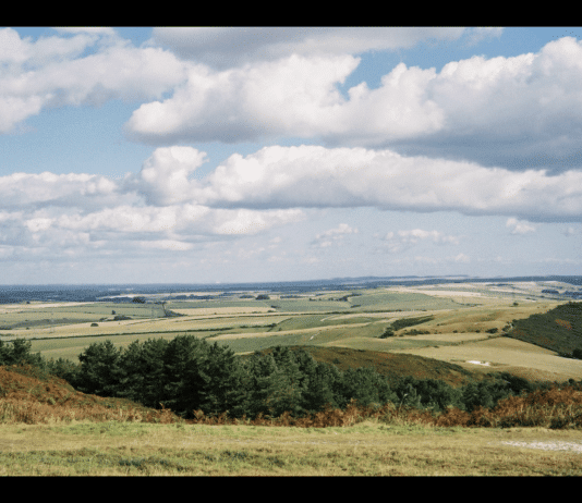 Geological walks around Dorset. Hardy Monument circular walk