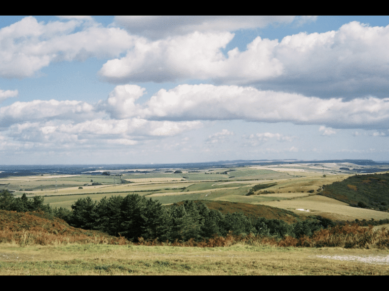 Geological walks around Dorset. Hardy Monument circular walk