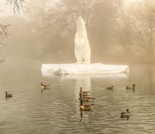 Boris is coming to Dorchester