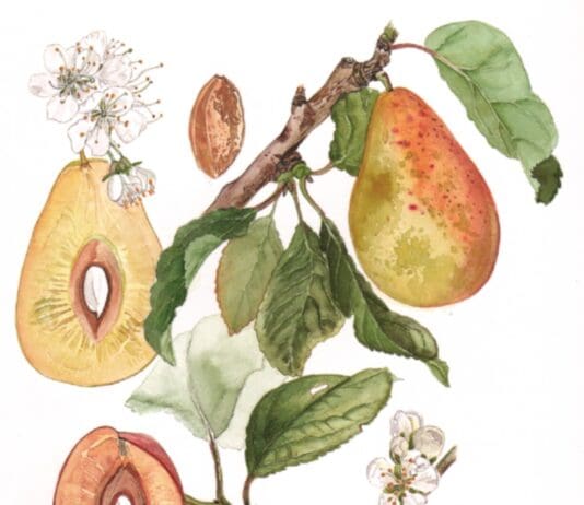 Dorset artists participate in exciting virtual art exhibition