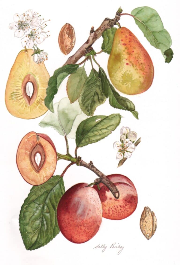 Dorset artists participate in exciting virtual art exhibition