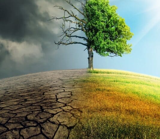 Treasury Committee publishes ‘Net Zero and the Future of Green Finance’ report