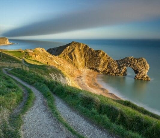 UK government accused of post Brexit betrayal of nature