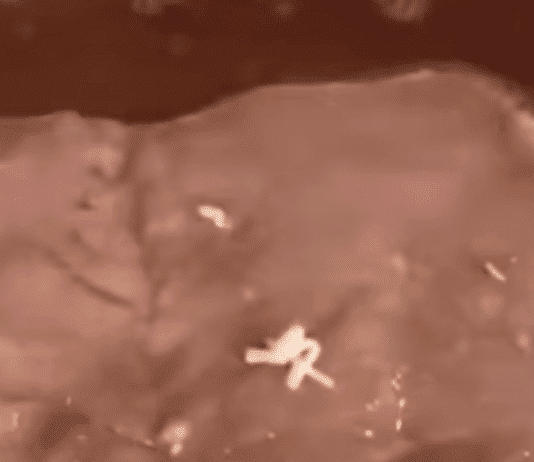 Will you ever eat pork again?