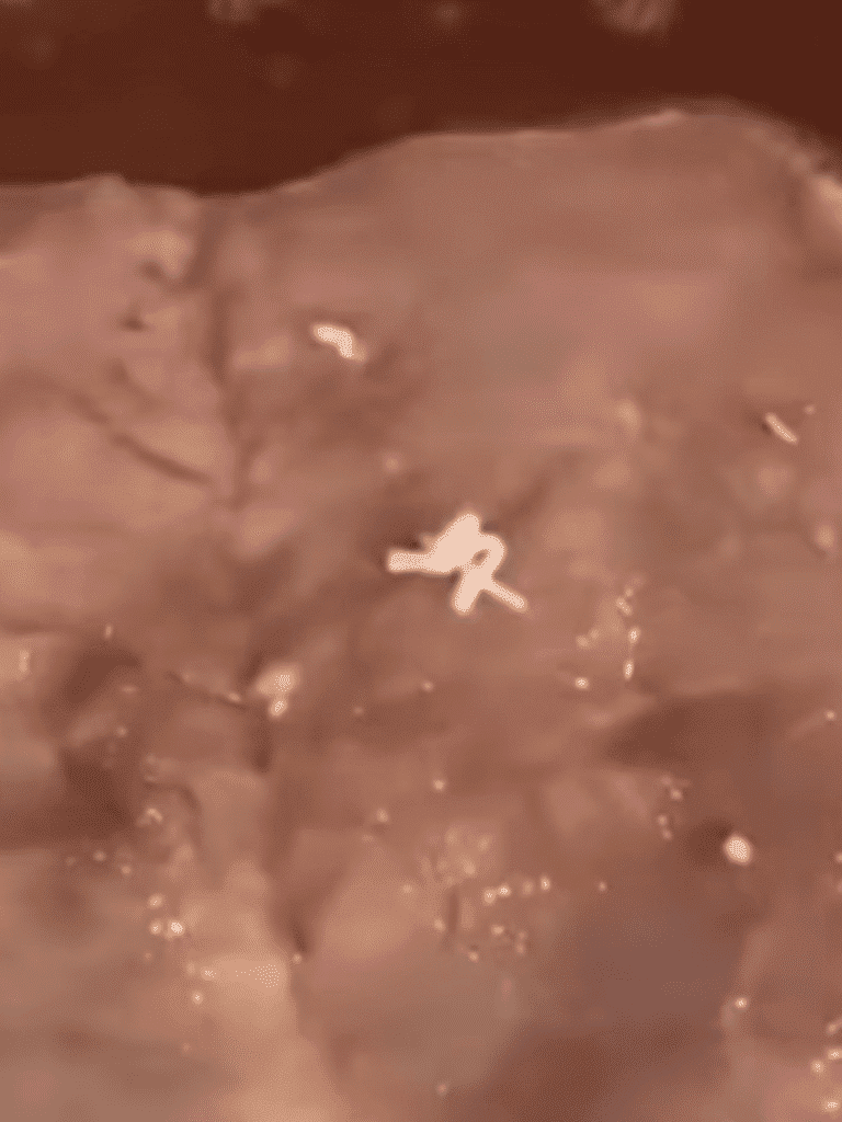 Will you ever eat pork again?