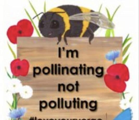 Love your verge with these friendly faces