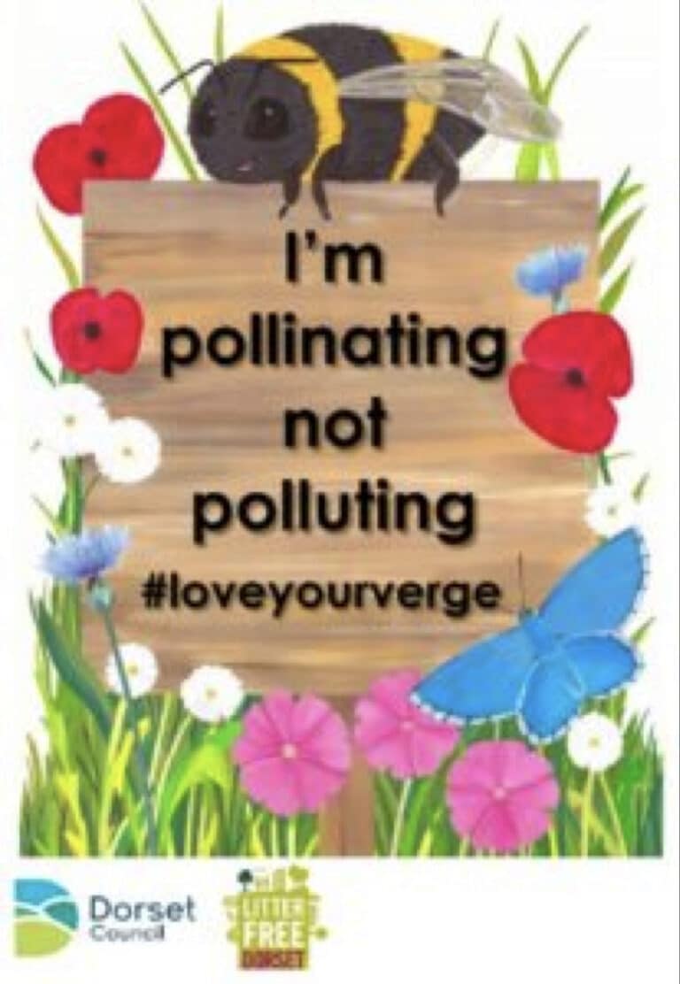 Love your verge with these friendly faces