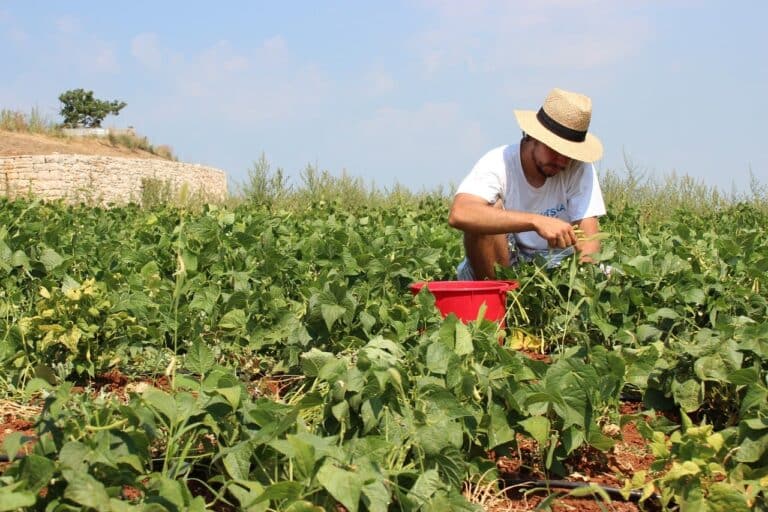 Never mind the profiteers we must regain our food sovereignty