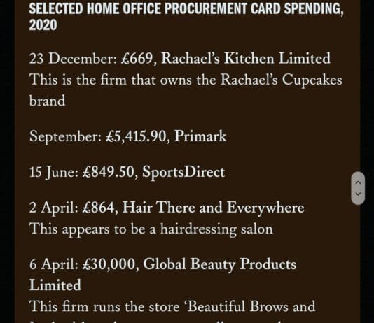 Priti Patel spent over £77000 of taxpayers money on eyebrows