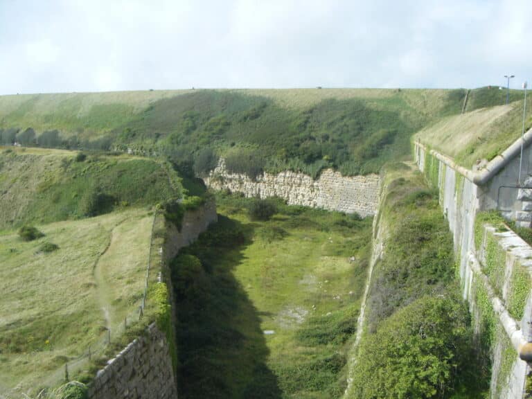 Woman and man from Portland arrested on suspicion of assault