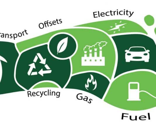 Dorset Council celebrates receiving £19 million of funding to reduce its carbon footprint