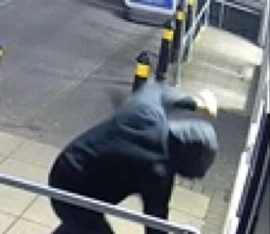 Man who beat his dog outside store in Poole sentenced