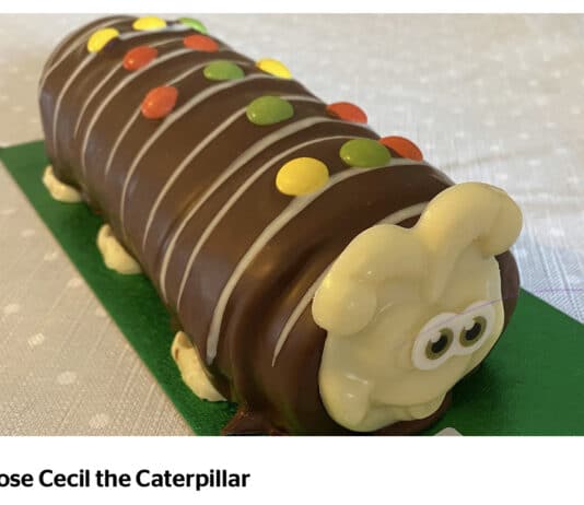 Colin the Caterpillar caught in nude shock