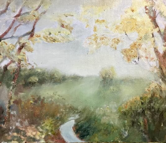 Pearl Gatehouse exhibition at Shaftesbury Art Centre