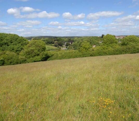 Partnership Success at Tumbledown