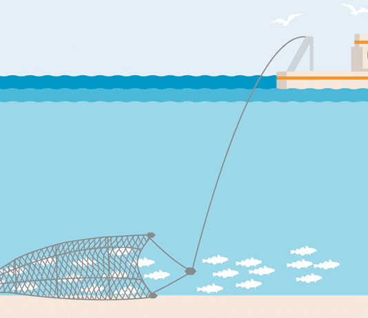26.5 million tonne carbon bomb ticks quietly on UK seabed, as 69% of UK public call for bottom trawling ban