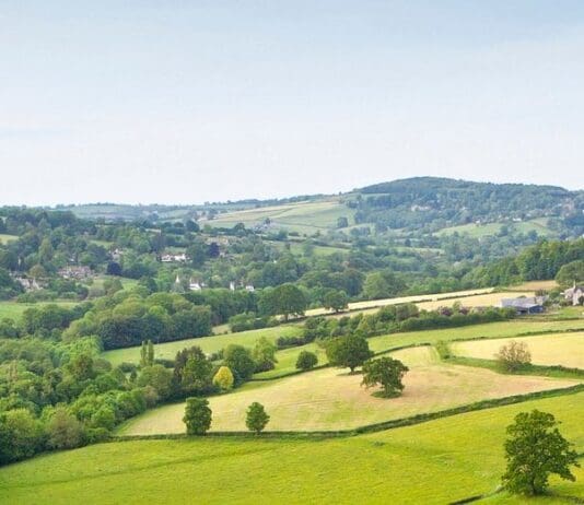 This is England: The alternative race report for the open minded and inquisitive