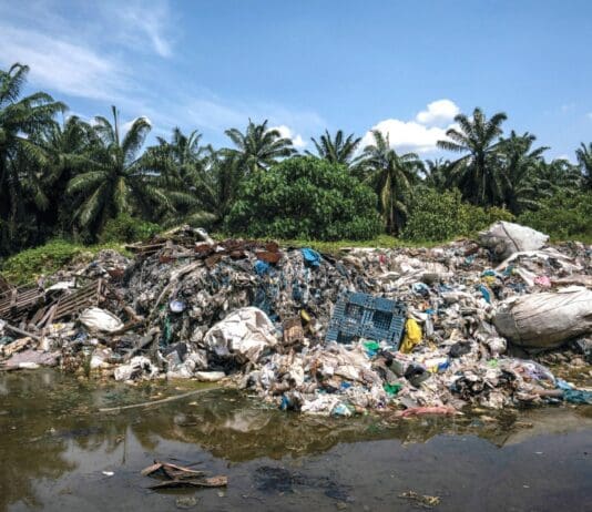 What really happens to your plastic recycling