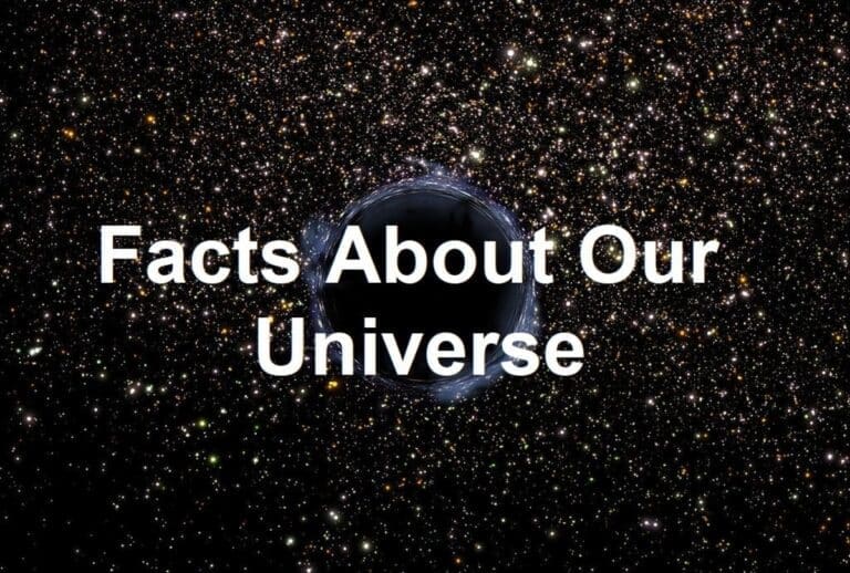 Putting the Universe into perspective