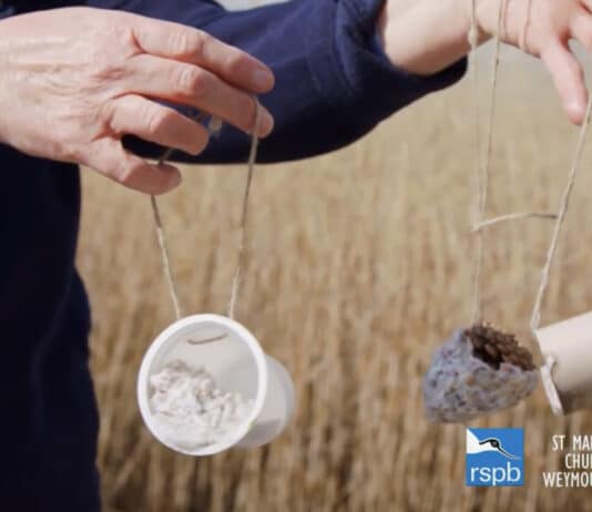 Nature, craft and recipe videos launched to improve wellbeing