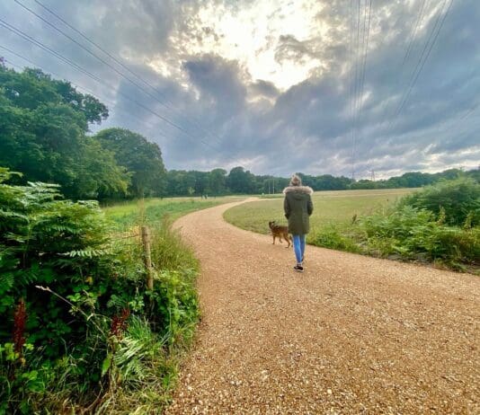 A shared vision for green spaces across Bournemouth, Christchurch and Poole