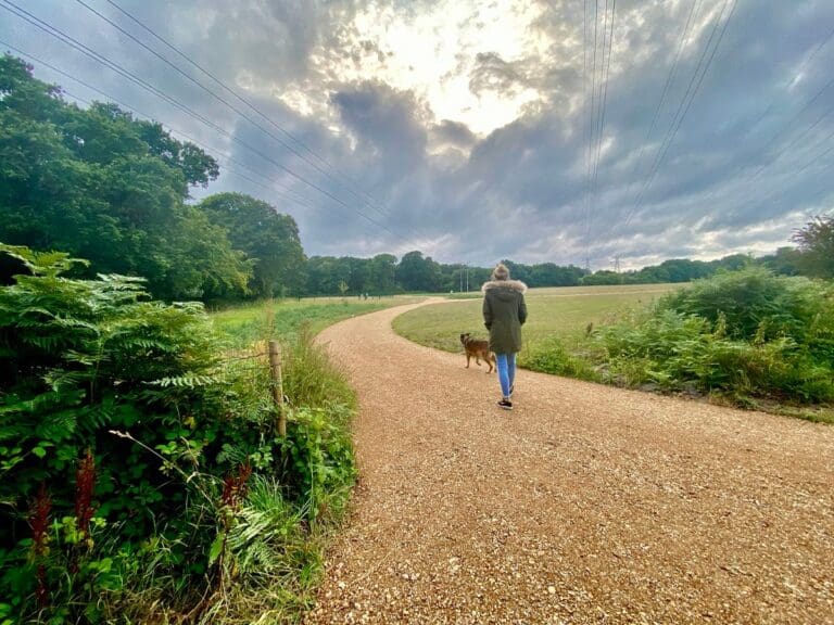 A shared vision for green spaces across Bournemouth, Christchurch and Poole