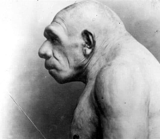 And these people are allowed to vote