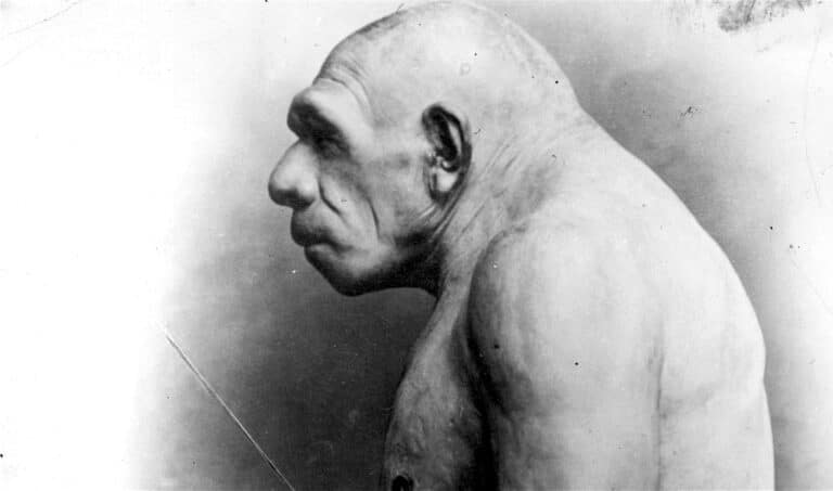 And these people are allowed to vote