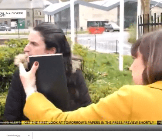 That guy over there do you know who he is?