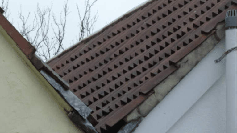 Weymouth roofer pleads guilty to ‘misleading’ customer