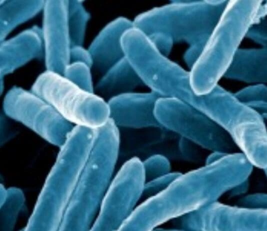 The 21st Century Lies Pandemic