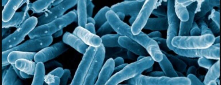 The 21st Century Lies Pandemic